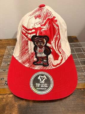Vintage Chicago Bulls Hat